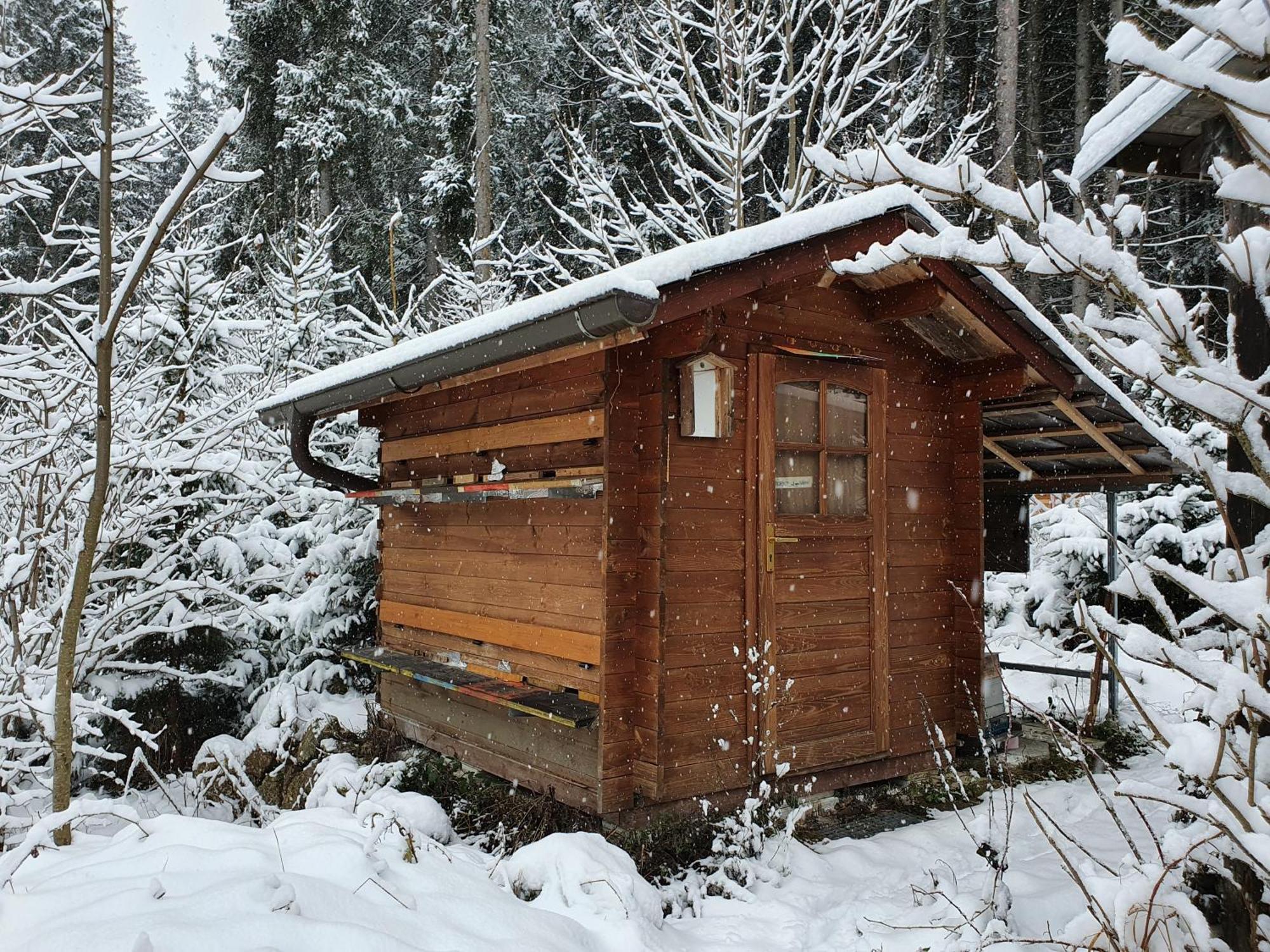 Ferienhaus Boehm Am Baerentrail Apartamento Altmelon Exterior foto